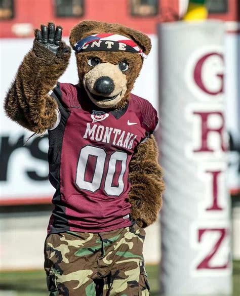 Montana grizzliws mascot